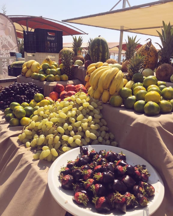 Gastro Well Palace Side