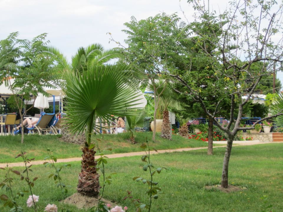 Терриория отеля Hotel Hanioti Palace/Chanioti Palace