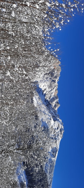 Ausblick Landhotel Schafhuber