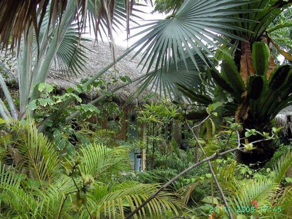 Blick Richtung Zimmer Hotel Beach Garden Resort