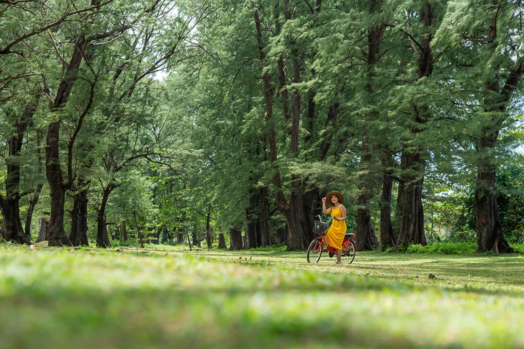 Gartenanlage Dewa Phuket Resort and Villas