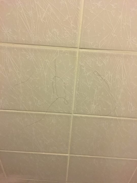 Zimmer Sealife Buket Resort & Beach