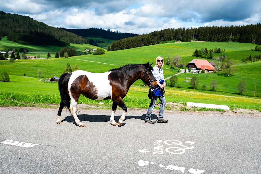 Sport & Freizeit Kinderbauernhof Wilmershof