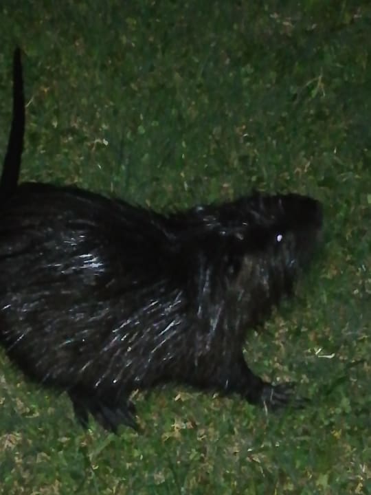 Sonstiges Hotel La Paül