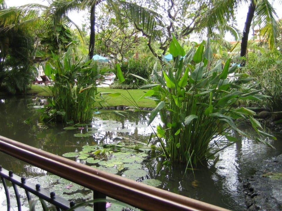 Teichanlage vom Frühstück aus... The Westin Resort Nusa Dua, Bali
