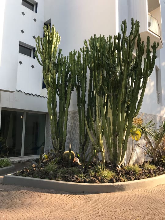 Außenansicht Hotel La Residenza