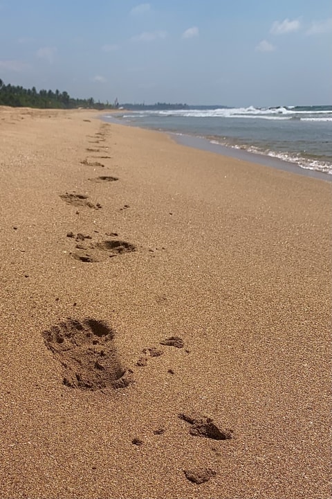 Strand Taj Bentota Resort & Spa