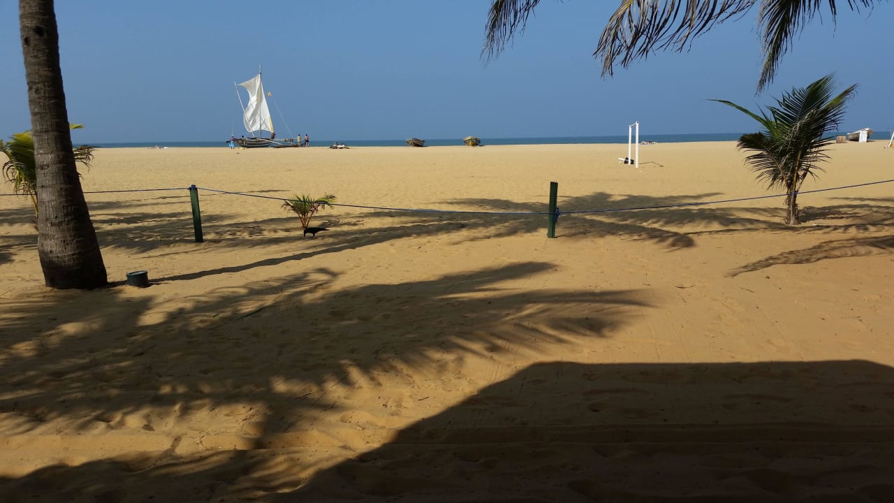 Blick zum Meer Goldi Sands Hotel