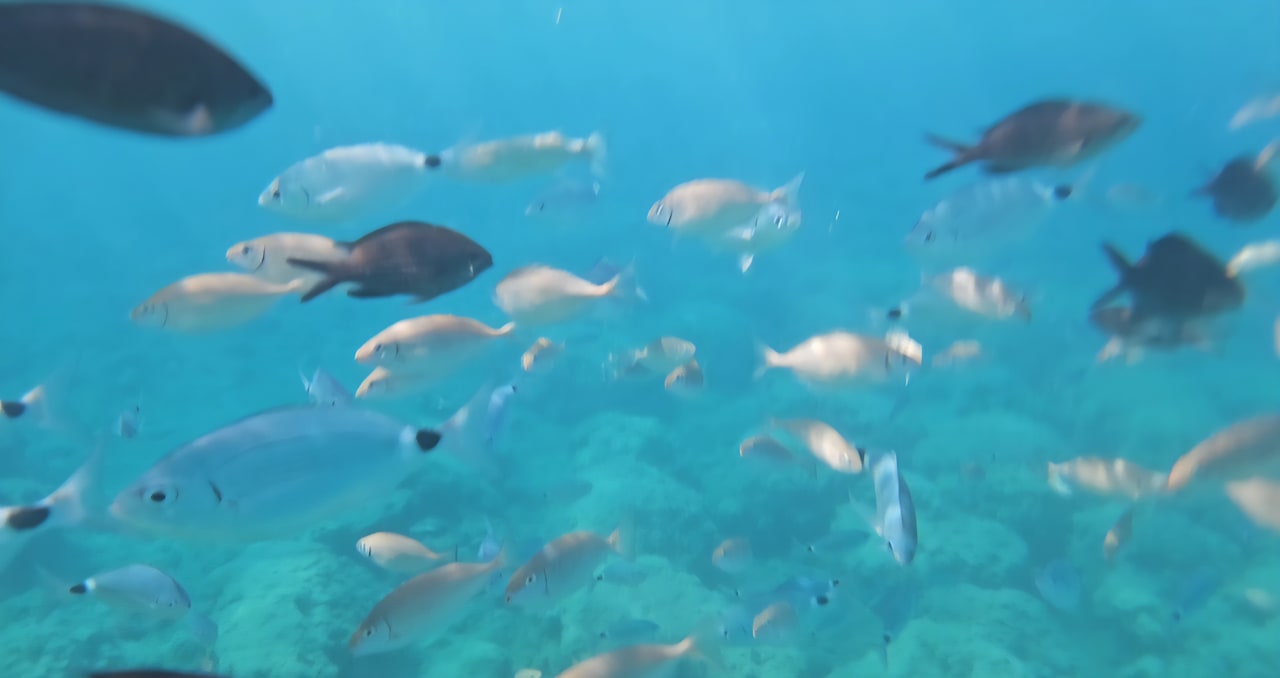 Strand Crystal Springs Beach Hotel