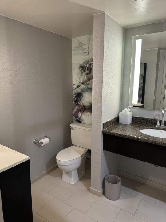 Zimmer Renaissance Palm Springs Hotel