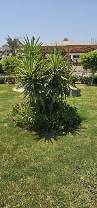 Gartenanlage Hurghada Long Beach Resort