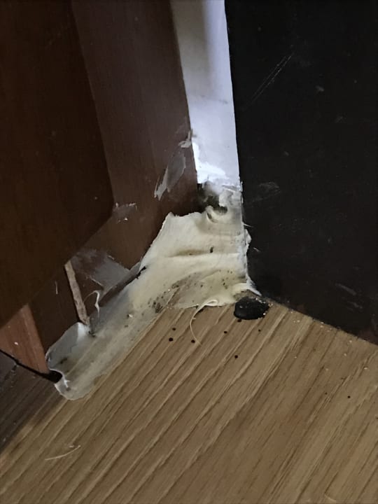 Zimmer Asteria Family Belek