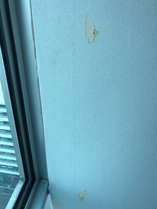 Zimmer Hotel Windsor Suites & Convention