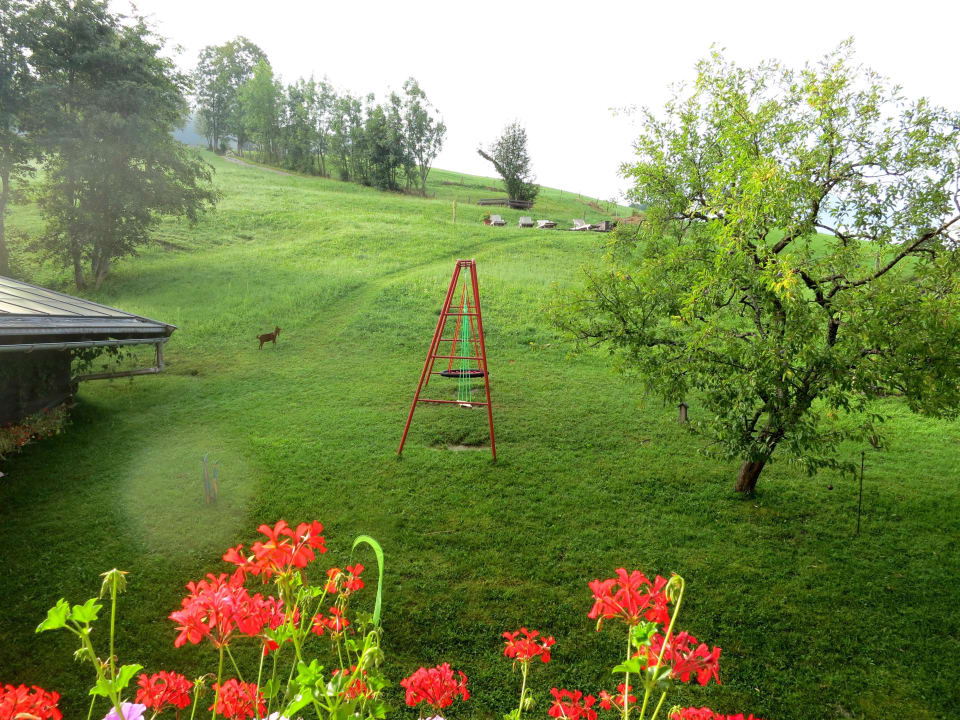 Ausblick vom Balkon! Pension Pinzgauer Hof