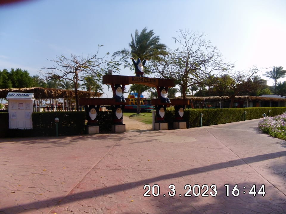 Sport & Freizeit Desert Rose