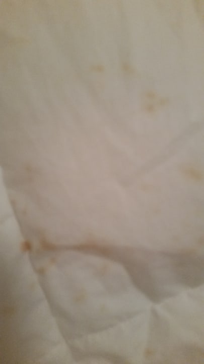 Zimmer Tropical Islands Resort