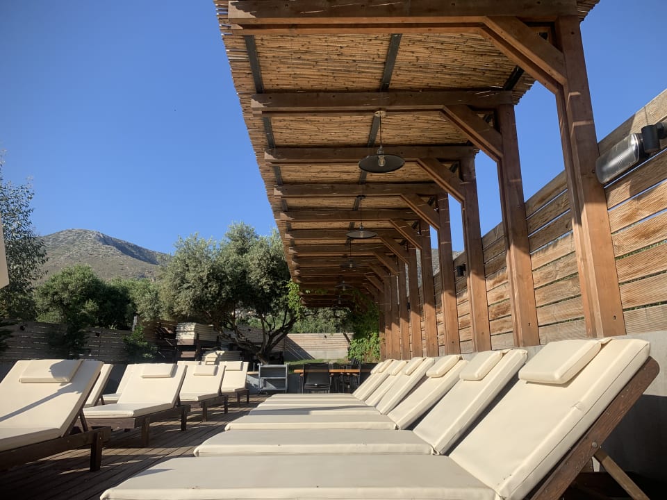 Gartenanlage Indigo Suites Collection Adults Only