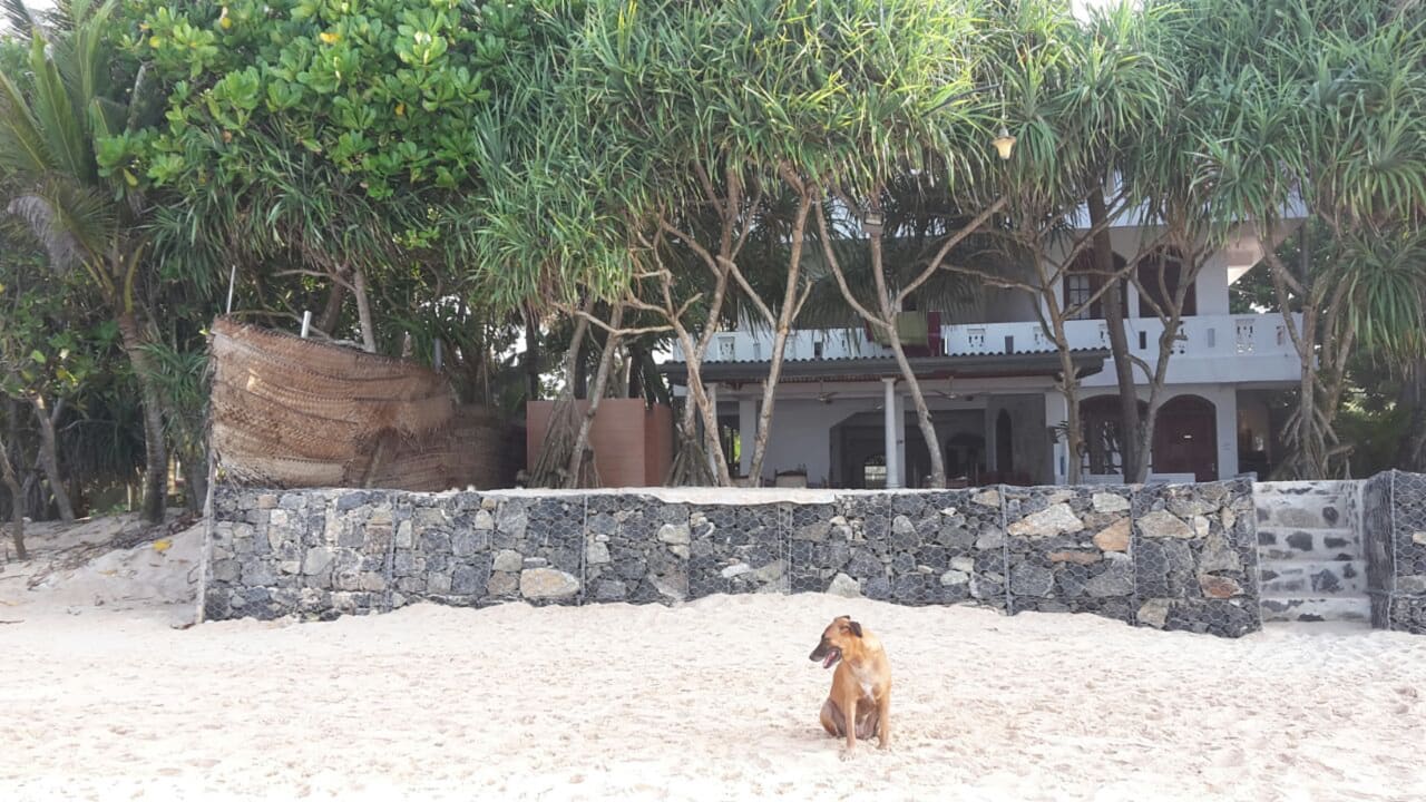 Außenansicht Hotel Haus am Meer Wilde Ananas