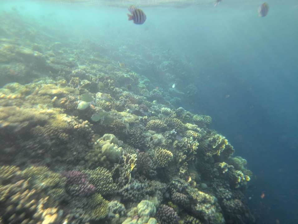 Ausblick Diamond Beach by Pearl Resort