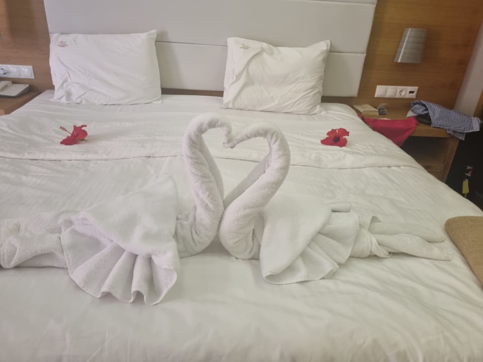 Zimmer High Beach Resort