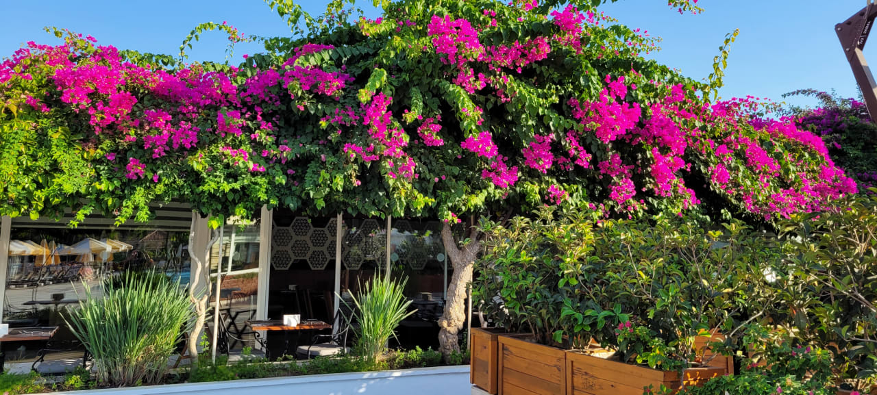 Gastro Selectum Family Resort Belek