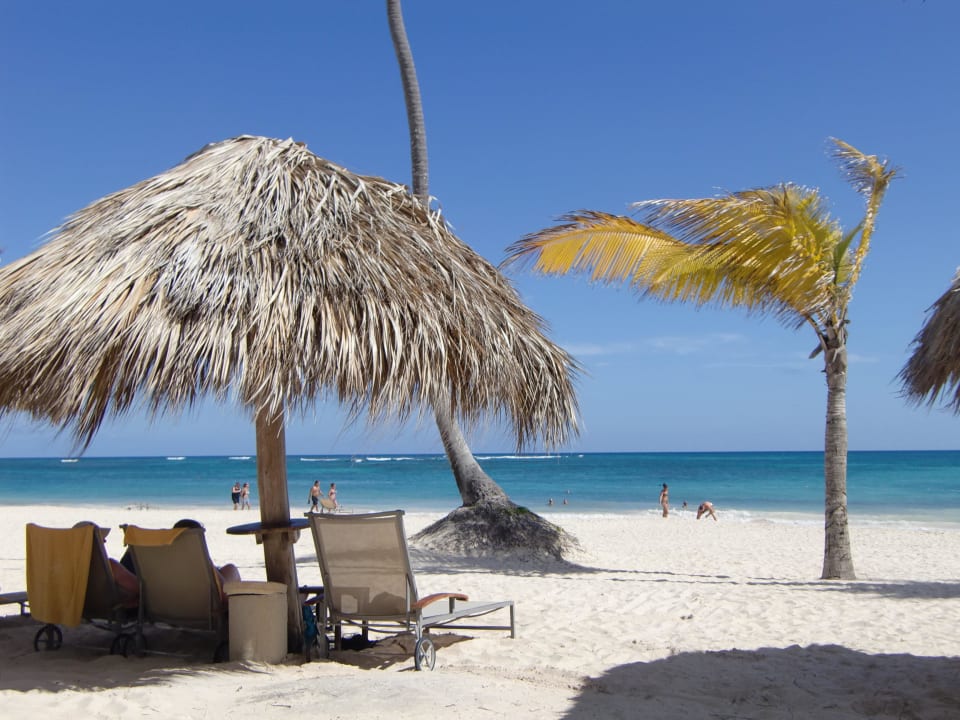 Ausblick JOIA Bávaro by Iberostar