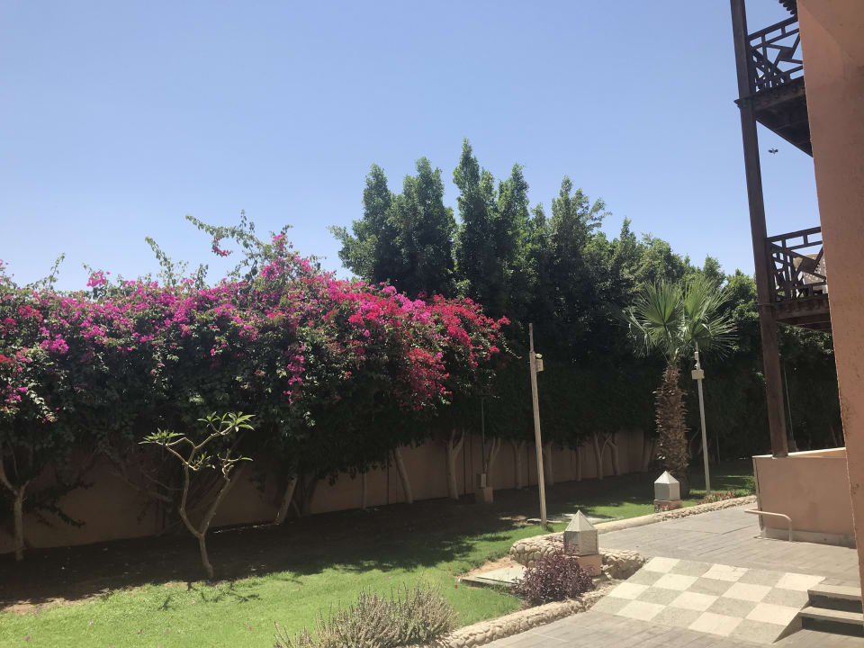 Ausblick Pickalbatros Aqua Park Resort - Hurghada