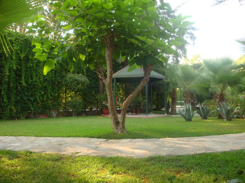 Supper Greenwood Kemer Resort