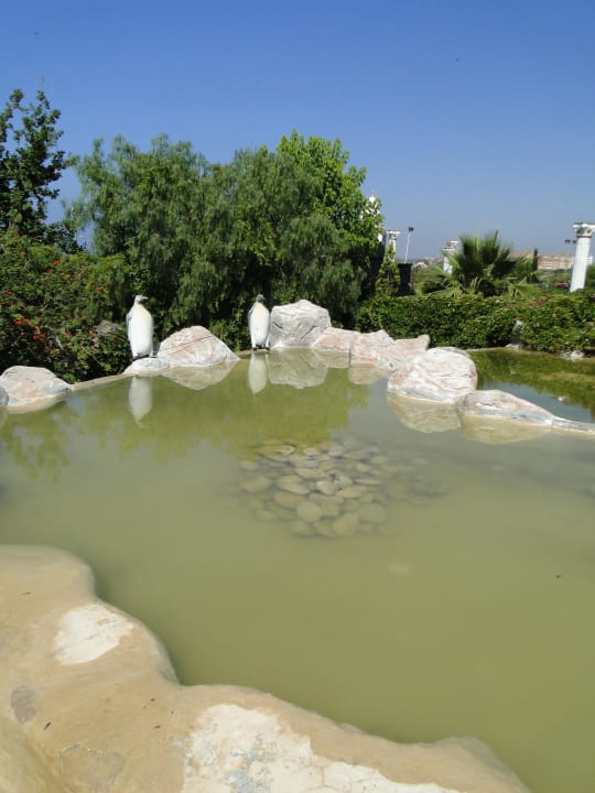 Gartenanlage Alba Resort Hotel