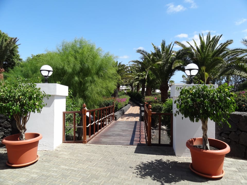 Garten Relaxia Olivina