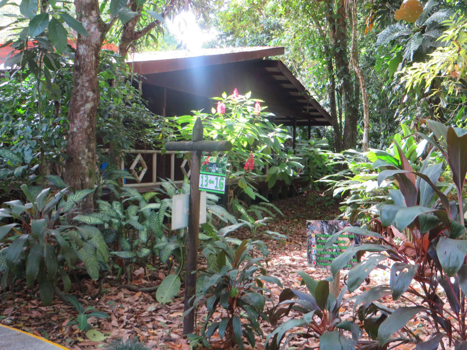 Bungalows im Garten Hotel Pachira Lodge