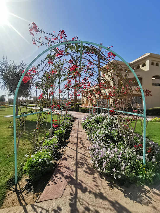 Gartenanlage Cleopatra Luxury Resort Makadi Bay