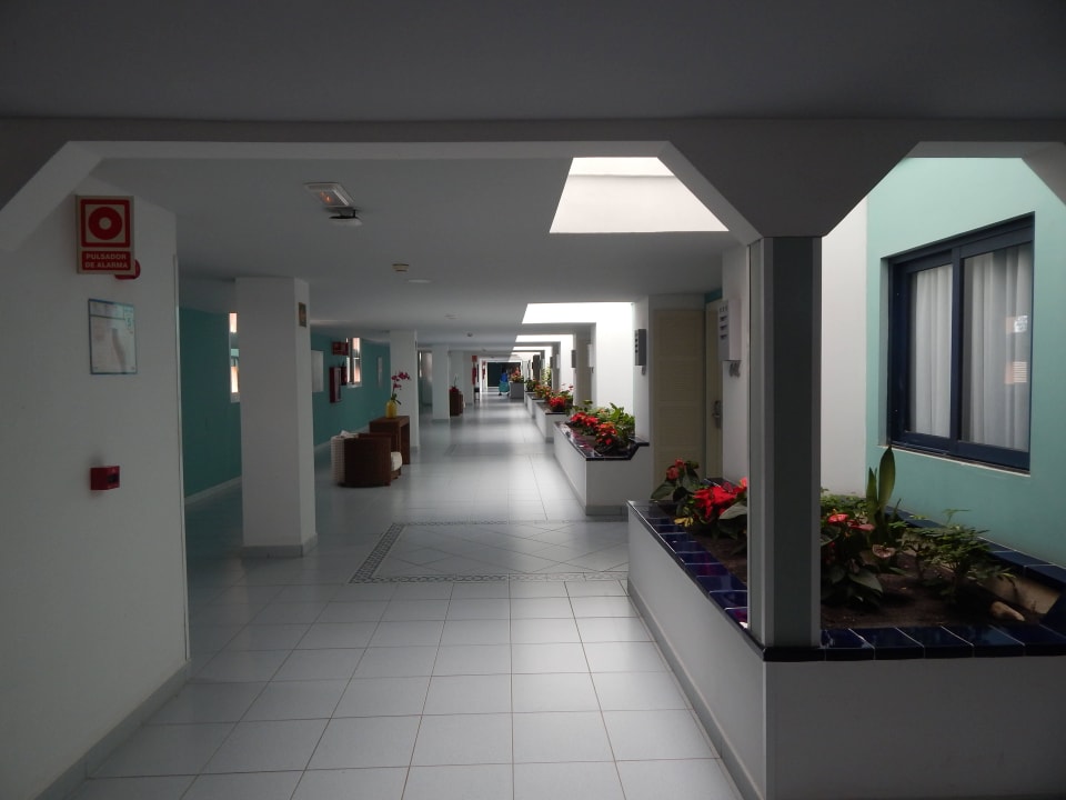 Waren im 6.Stock , haben sogar Weihnachtssterne H10 Tindaya