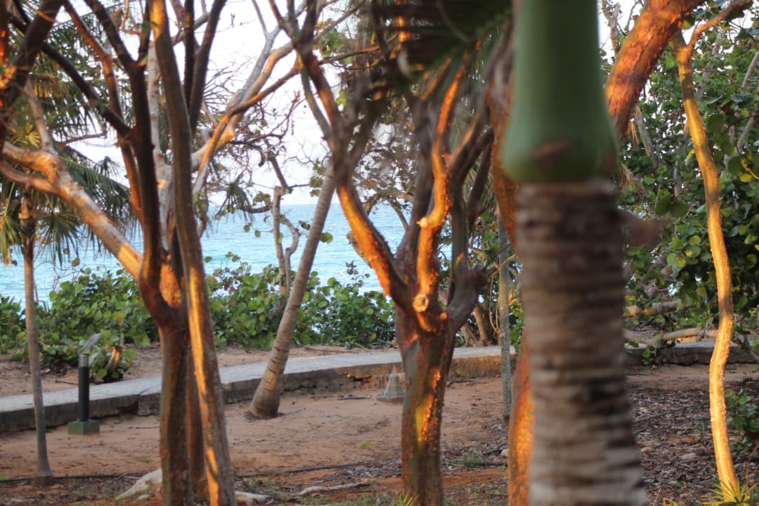 Ausblick terasse cohiba Bar Sirenis Tropical Varadero