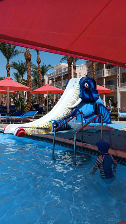 Sport & Freizeit Pickalbatros Palace Resort
