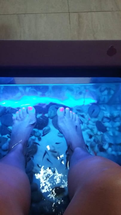 Knabberfische im Wellnessbereich Adalya Ocean Deluxe