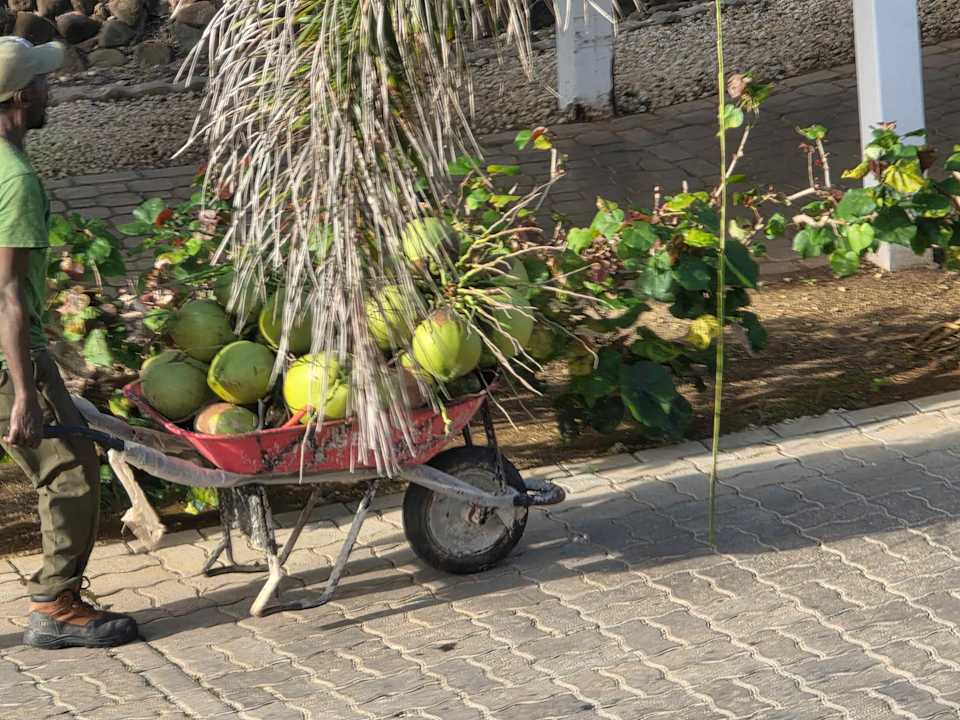 Gartenanlage Grand Palladium Jamaica Resort & Spa