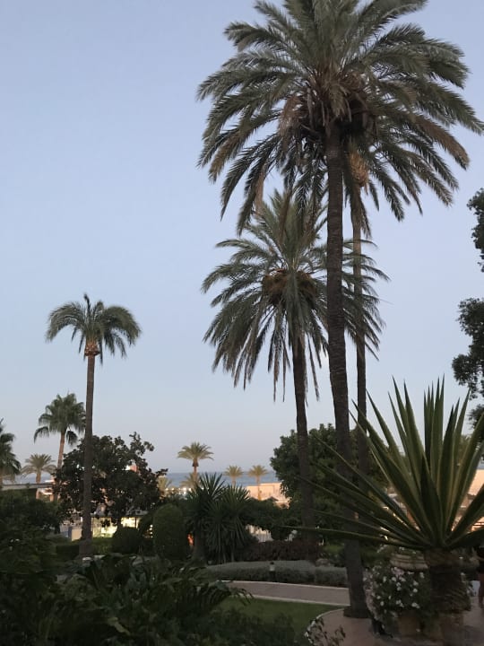 Garten Hotel Best Siroco