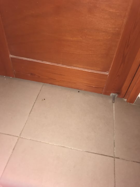 Zimmer Hotel Pine Bay Holiday Resort