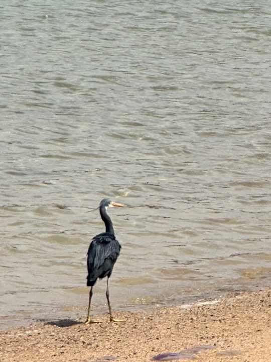 Ausblick Desert Rose