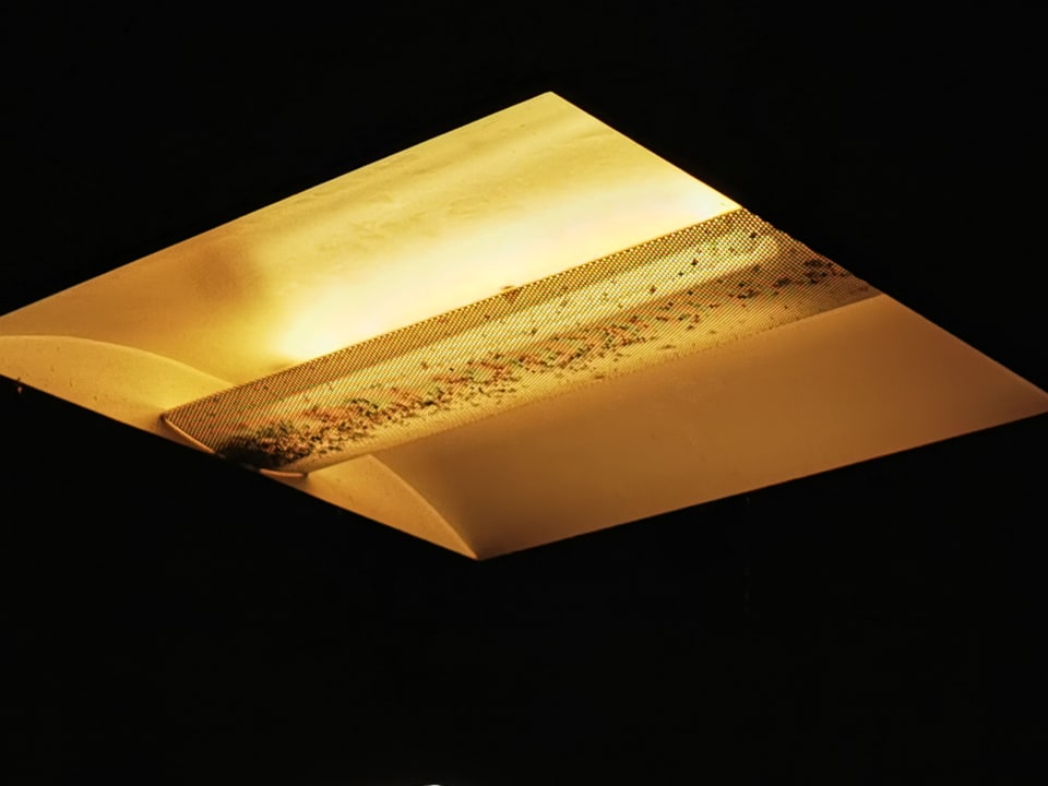 Sonstiges Panoramic - Ihr Apartmenthotel im Harz