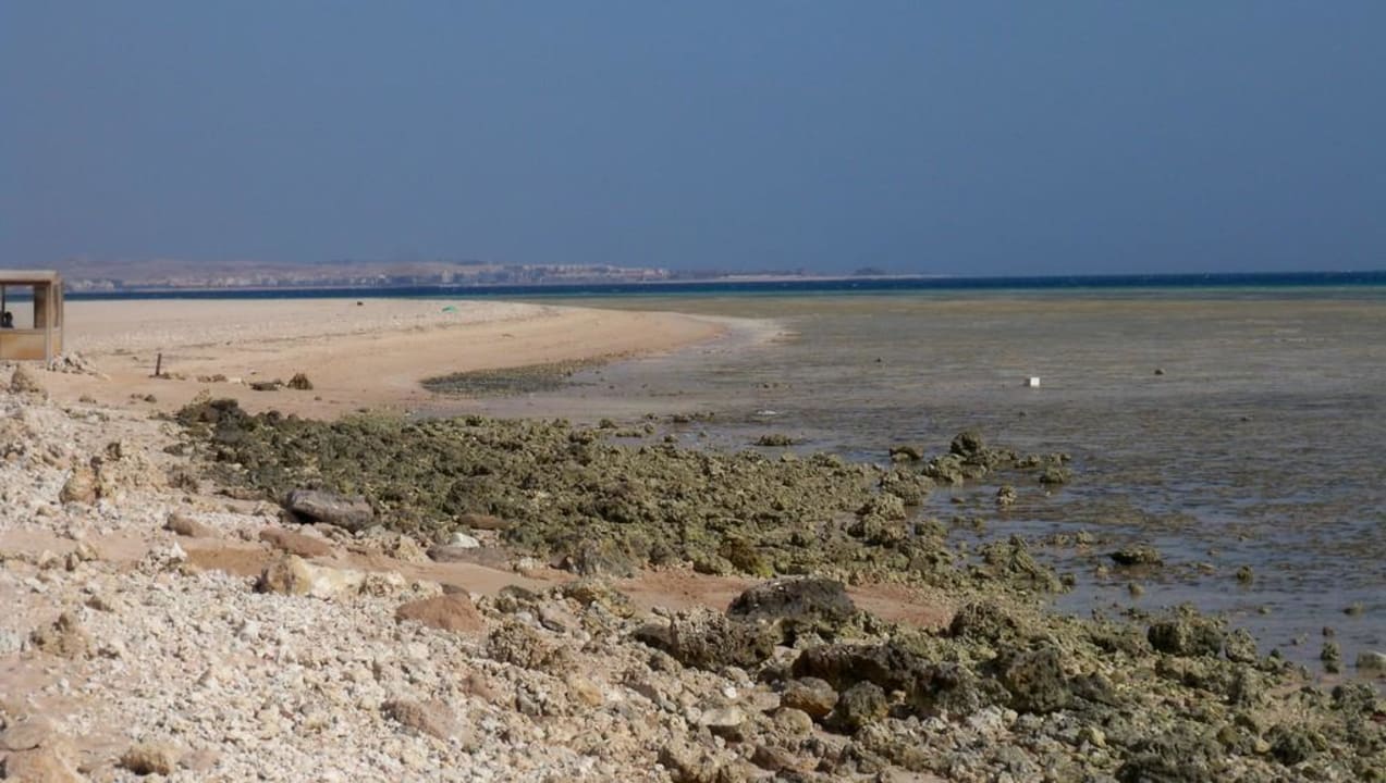 Strand des Grand Makadi bei Ebbe Grand Makadi
