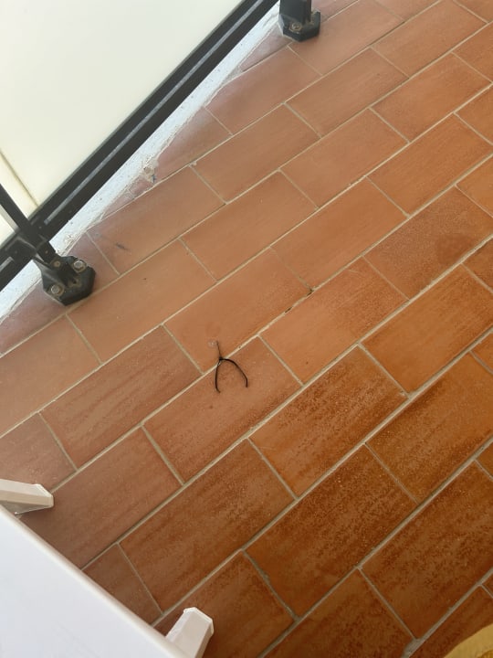 Zimmer Hotel Puente Real