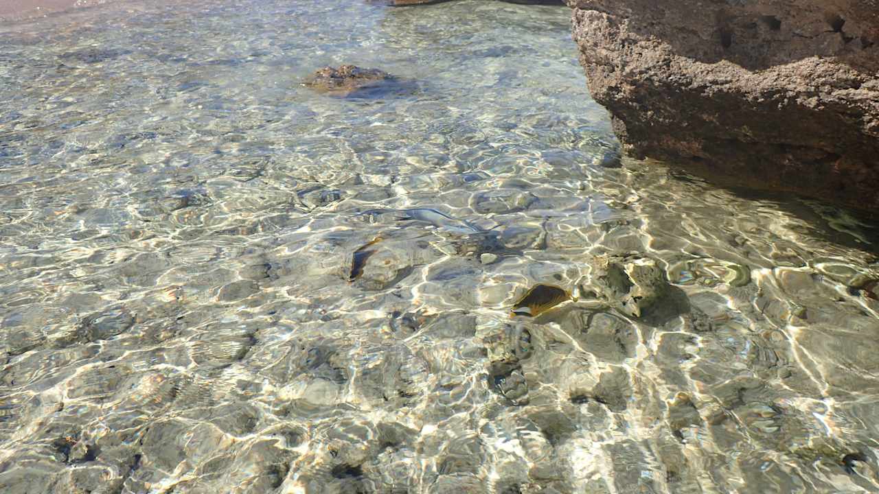 Sonstiges Pickalbatros Citadel Resort