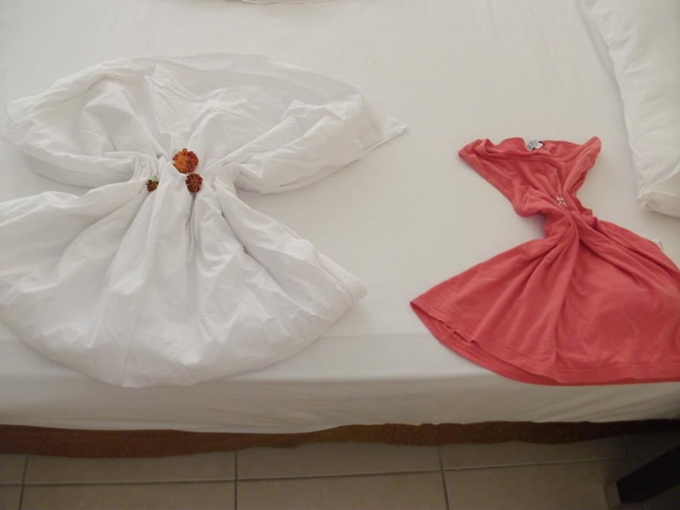 Wir hatten jeden Tag etwas Anderes  Hotel Orfeus Park