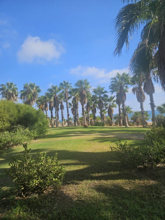 Gartenanlage Club Grand Side