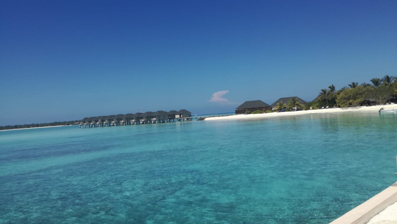Strand Summer Island Maldives