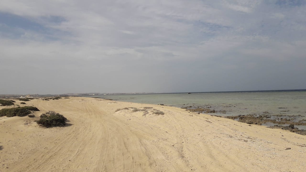 Abseits vom Hotel Malikia Resort Abu Dabbab