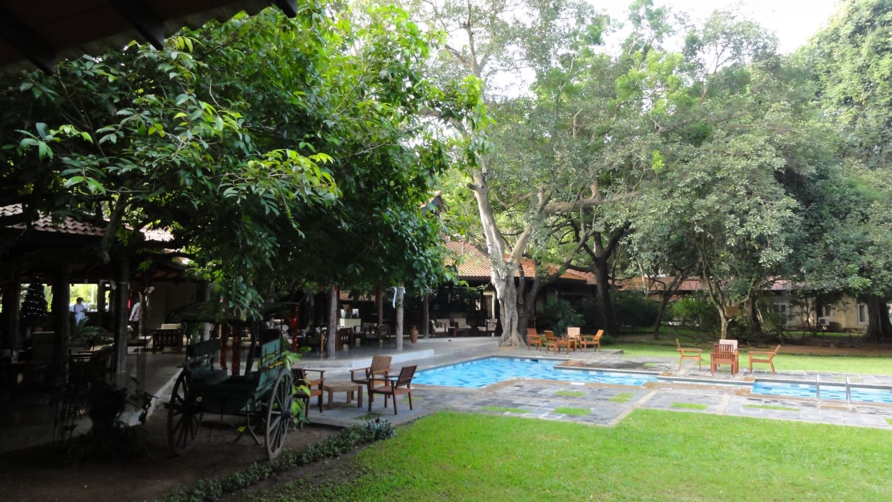 Blick auf die Bar Hotel Sigiriya