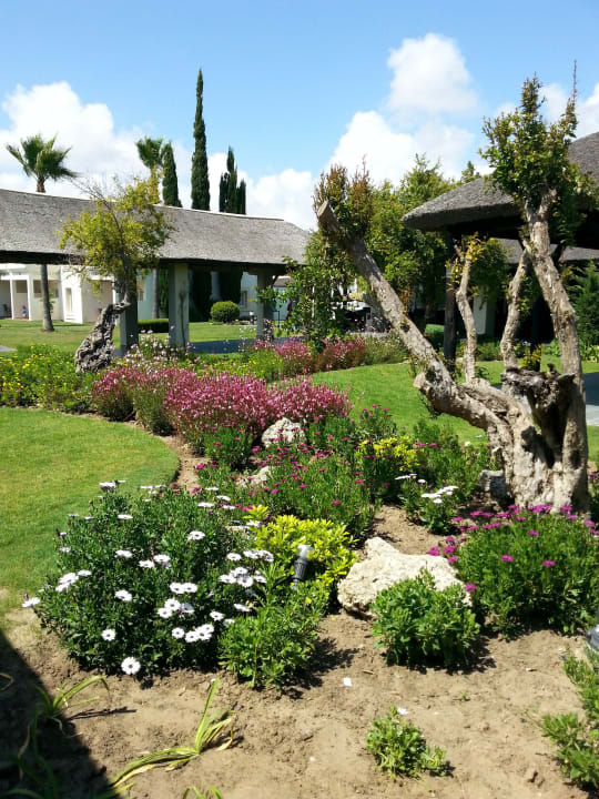 Zwischen Restaurant und Pool Hotel Vincci Costa Golf